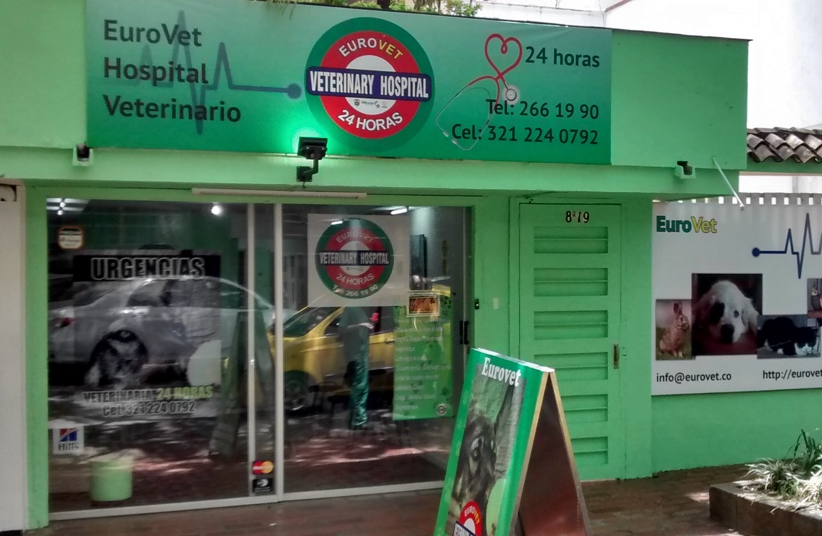 Las 10 mejores clinicas veterinarias de Medellín